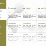 Company Executive Summary PowerPoint Template & Google Slides Theme 2