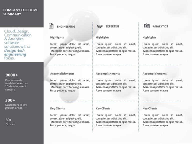 Company Executive Summary PowerPoint Template & Google Slides Theme 3