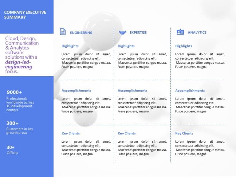 Company Executive Summary PowerPoint Template & Google Slides Theme 7