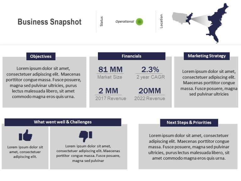 Business Snapshot PowerPoint Template & Google Slides Theme 9