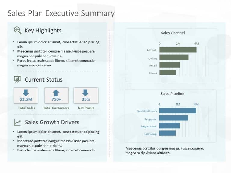 Sales Dashboard Executive Summary PowerPoint Template & Google Slides Theme 11