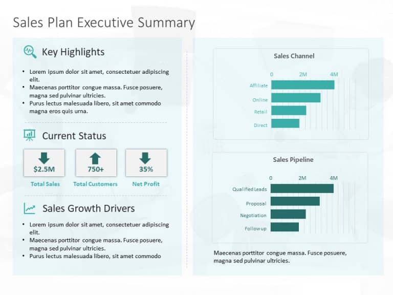 Sales Dashboard Executive Summary PowerPoint Template & Google Slides Theme 12