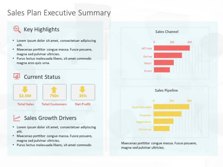 Sales Dashboard Executive Summary PowerPoint Template & Google Slides Theme 13