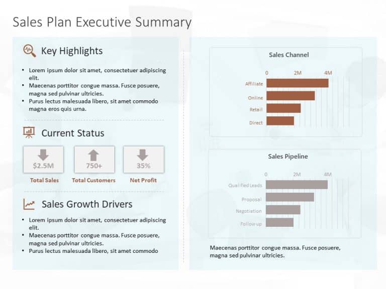 Sales Dashboard Executive Summary PowerPoint Template & Google Slides Theme 14