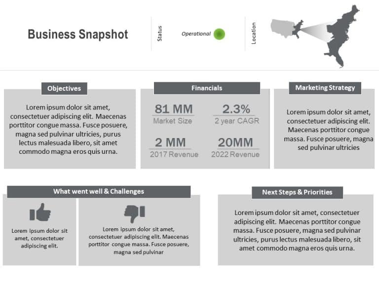 Business Snapshot PowerPoint Template & Google Slides Theme 15