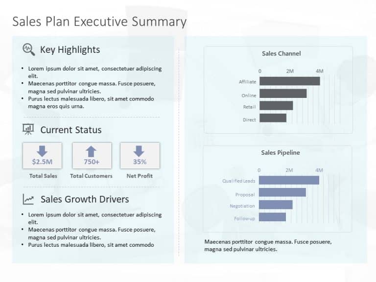 Sales Dashboard Executive Summary PowerPoint Template & Google Slides Theme 15