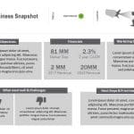 Business Snapshot PowerPoint Template & Google Slides Theme 3