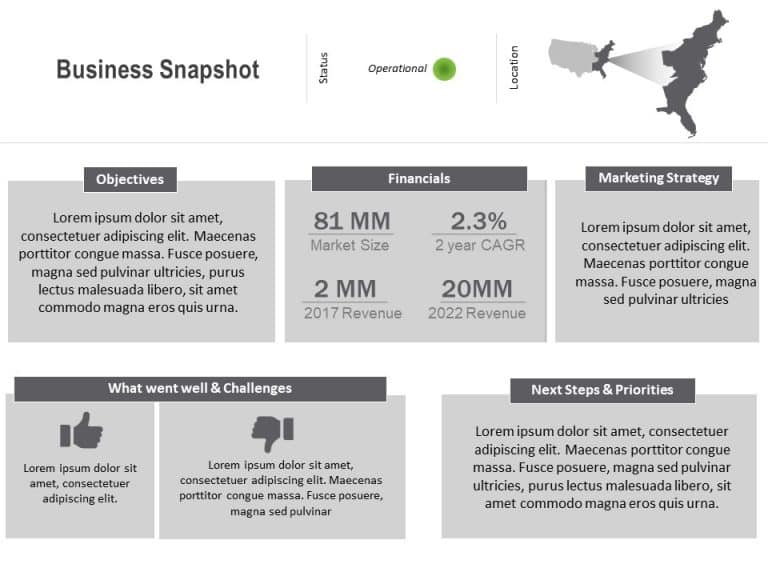 Business Snapshot PowerPoint Template & Google Slides Theme 3