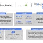 Business Snapshot PowerPoint Template & Google Slides Theme 7