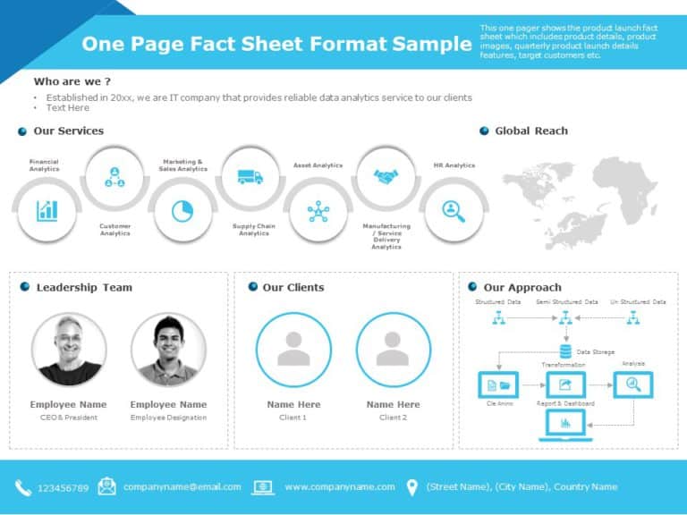 One Page Fact Sheet 05 PowerPoint Template & Google Slides Theme
