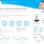 One Page Fact Sheet 01 PowerPoint Template