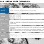 Coronavirus Information Guide PowerPoint Template & Google Slides Theme 1