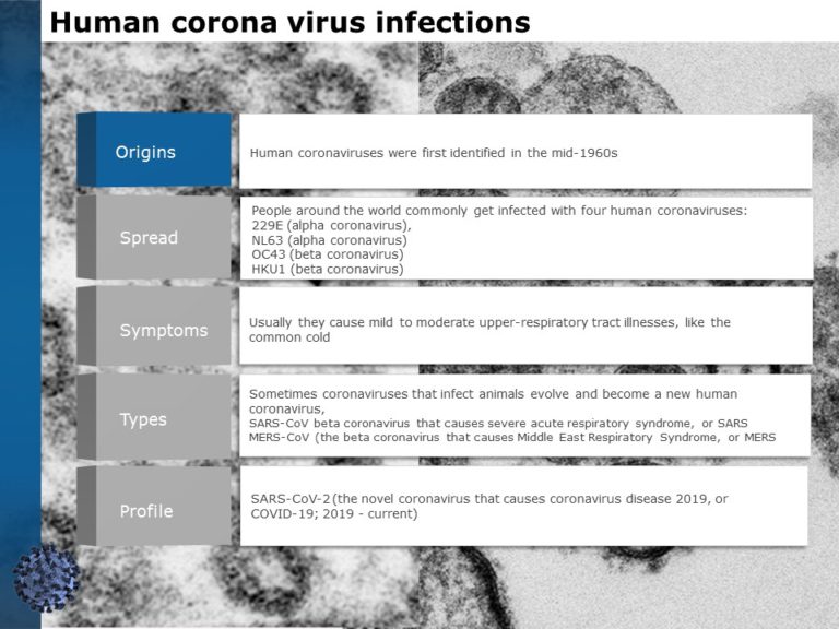 Coronavirus Information Guide PowerPoint Template & Google Slides Theme 1