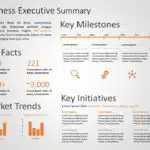 Executive Summary Templates for PowerPoint & Google Slides Theme 1