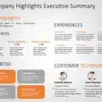 Executive Summary Templates for PowerPoint & Google Slides Theme 3