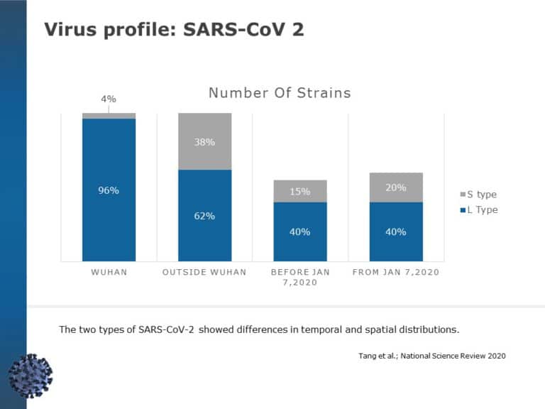 Coronavirus Information Guide PowerPoint Template & Google Slides Theme 4