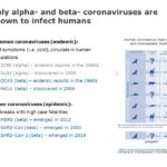 Coronavirus Information Guide PowerPoint Template & Google Slides Theme 6