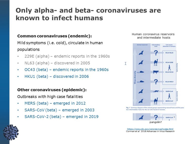 Coronavirus Information Guide PowerPoint Template & Google Slides Theme 6