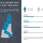New Hampshire Demographic Profile PowerPoint Template & Google Slides Theme