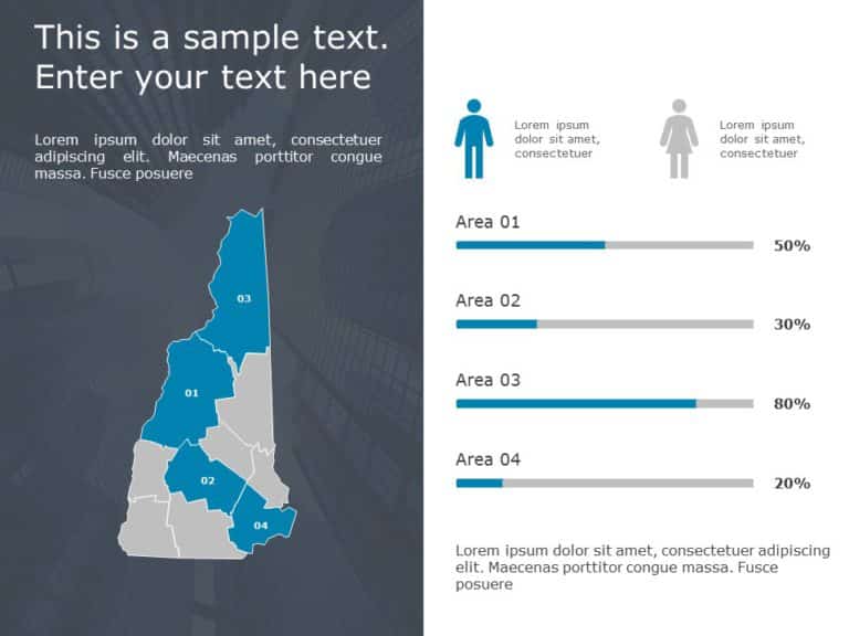 New Hampshire Demographic Profile PowerPoint Template
