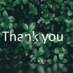 Thank You Templates Collection for PowerPoint & Google Slides Theme 10