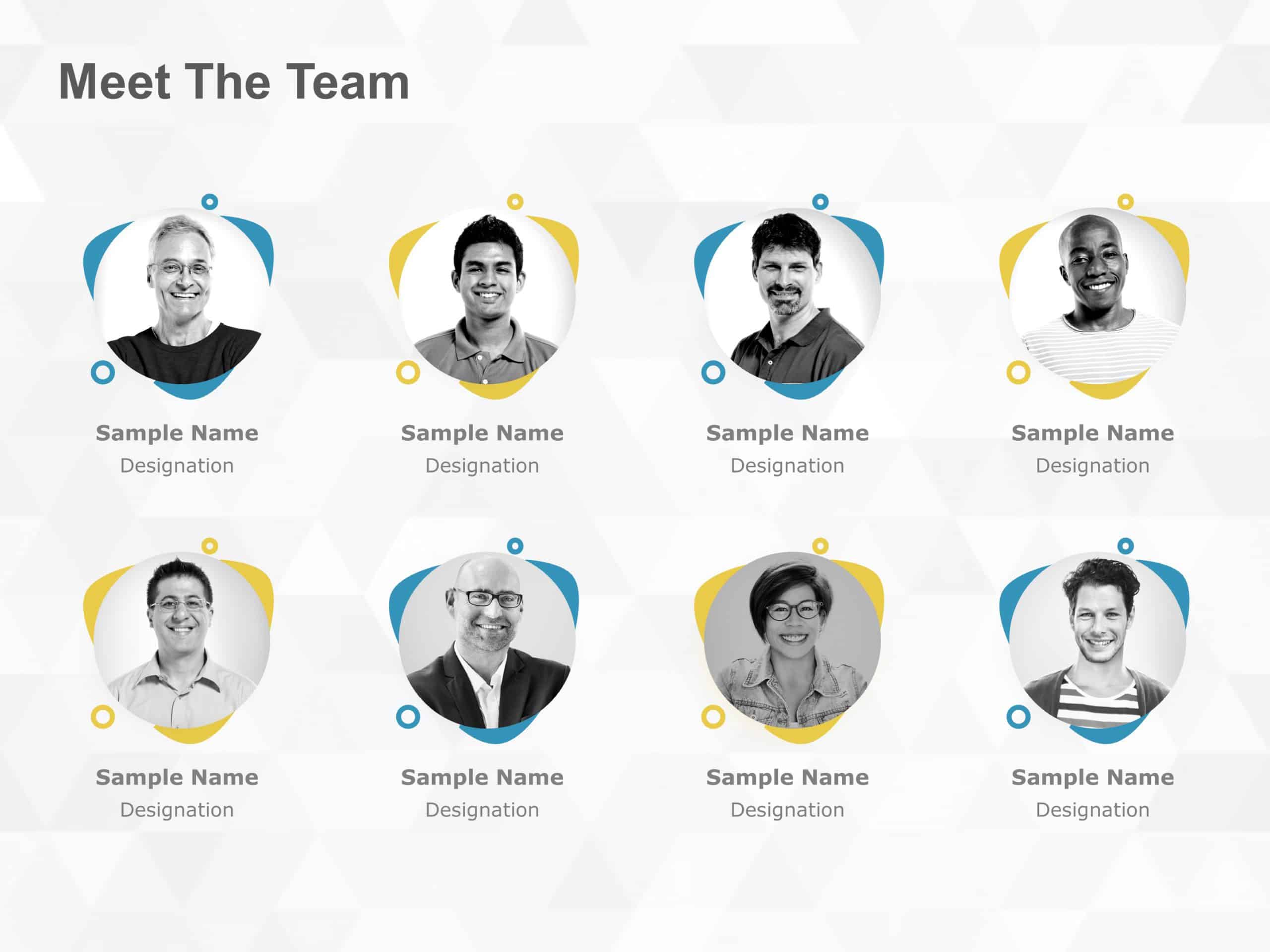 Meet the team