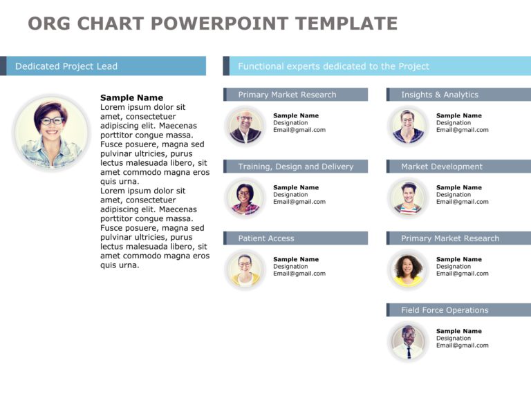 Org Chart Templates Collection for PowerPoint & Google Slides Theme 2