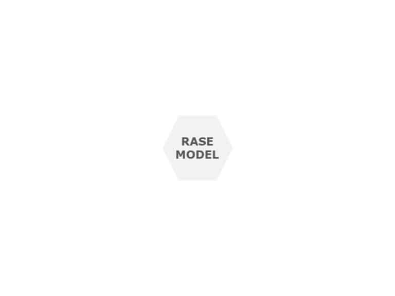 Animated RASE Model PowerPoint Template & Google Slides Theme 1