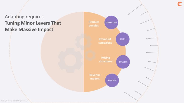 Chargbee SeriesF Pitch Deck & Google Slides Theme 5