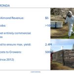 Dalan Animal Seed Pitch Deck & Google Slides Theme 7