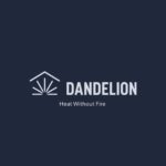 Dandelion Series B Pitch Deck & Google Slides Theme 11