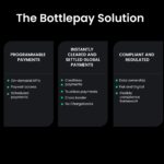 Bottlepay Seed Pitch Deck & Google Slides Theme 14