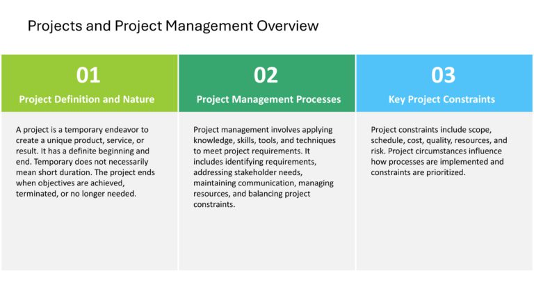 Project Management Presentation & Google Slides Theme 91