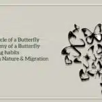 Butterfly PowerPoint And Google Slides Theme Theme 1