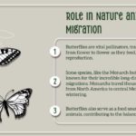 Butterfly PowerPoint And Google Slides Theme Theme 5