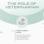 Soft Green Veterinary Services Slide Deck & Google Slides Theme 2