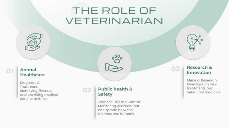 Soft Green Veterinary Services Slide Deck & Google Slides Theme 2