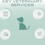 Soft Green Veterinary Services Slide Deck & Google Slides Theme 3