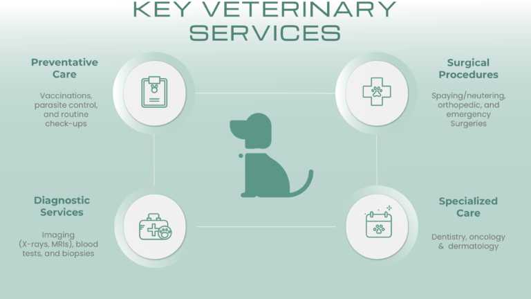 Soft Green Veterinary Services Slide Deck & Google Slides Theme 3