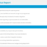 Professional Contractor Performance Slide Template & Google Slides Theme 1
