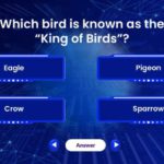 Animated Family Feud Game Show Presentation & Google Slides Theme 10