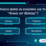 Animated Game Show Family Feud PowerPoint Template & Google Slides Theme 2