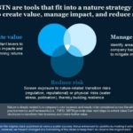 Real Mckinsey Slides Presentation Template & Google Slides Theme 5