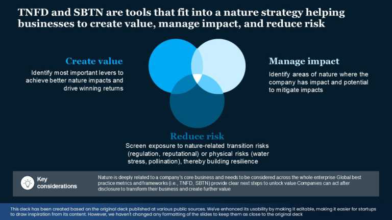 Real Mckinsey Slides Presentation Template & Google Slides Theme 5