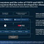 Real Mckinsey Slides Presentation Template & Google Slides Theme 6