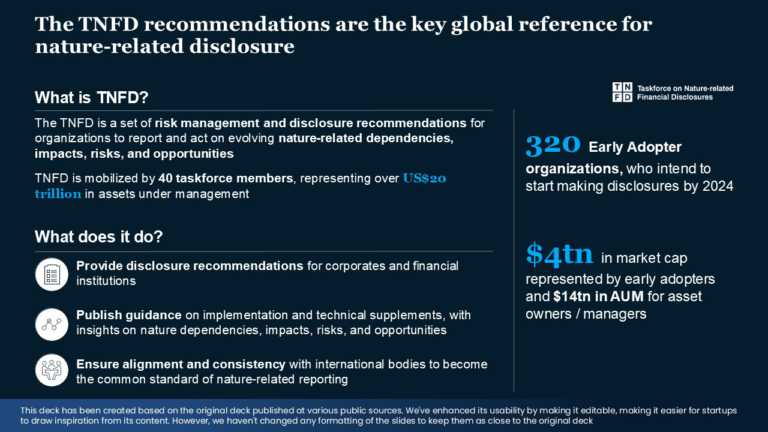 Real Mckinsey Slides Presentation Template & Google Slides Theme 7