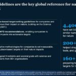 Real Mckinsey Slides Presentation Template & Google Slides Theme 8