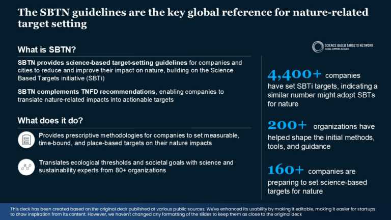 Real Mckinsey Slides Presentation Template & Google Slides Theme 8