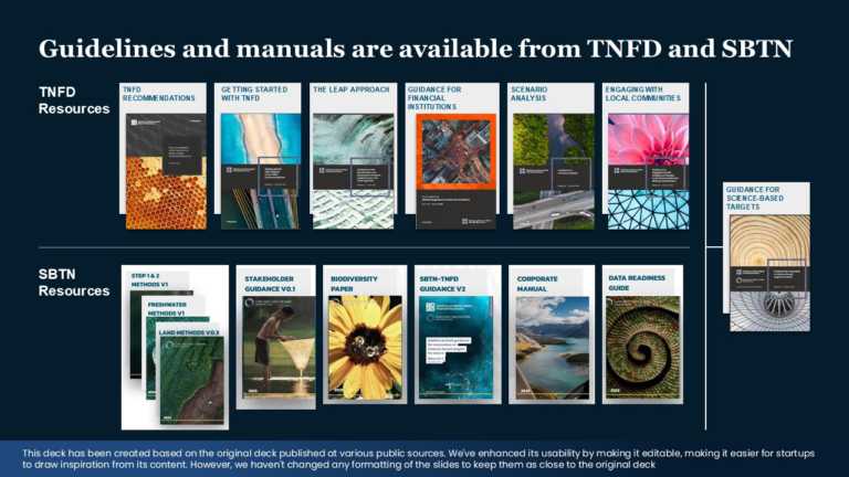 Real Mckinsey Slides Presentation Template & Google Slides Theme 9