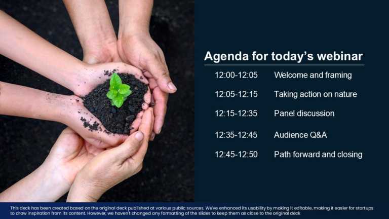 Real Mckinsey Slides Presentation Template & Google Slides Theme 11